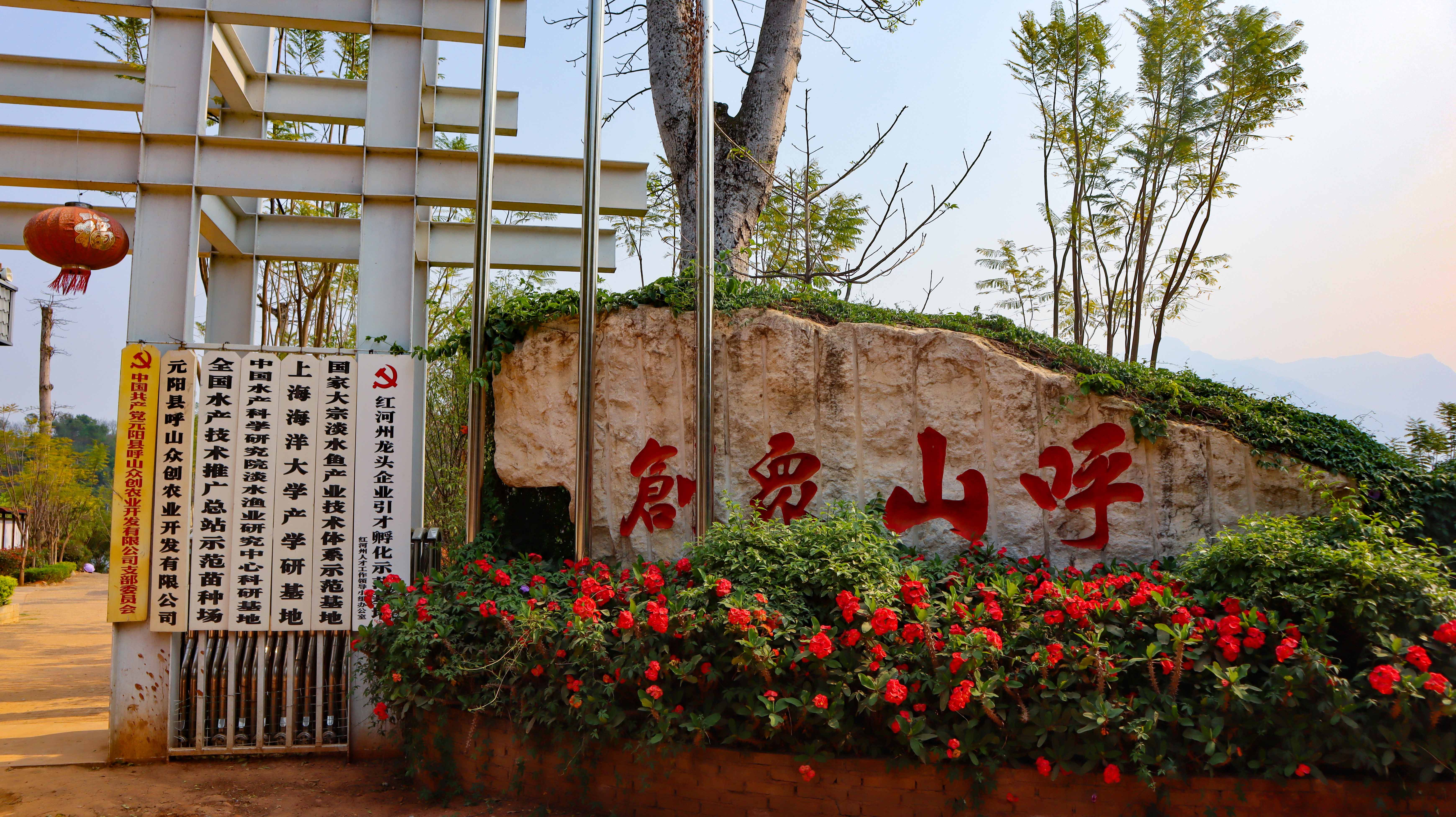 保護哈尼梯田，呼山眾創(chuàng  )在行動(dòng)